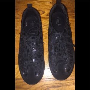 Coach sneaker